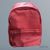 ราคา กระเป๋าเป้longchampของแท้ค่ะ (18179487435)