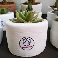 ราคา กระถางดอกไม้จิ๋ว ต้นแคคตัส ต้นกระบองเพชร ครบจบในแพ็คเกจเดียว (28165144287)