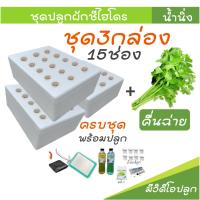 ราคา [ชุด3กล่องปลูกคื่นฉ่าย] ชุดกล่องโฟมปลูกผักไฮโดรโปนิกส์ ปลูกผักไฮโดรโปนิกส์ hydroponic (40061299486)