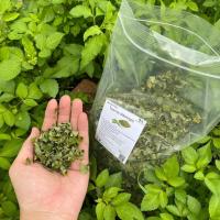 ราคา ใบมะรุม (Moringa) อบแห้ง ขนาด 50/100 กรัมบำรุงตับ ไต ให้แข็งแรง (22620112232)