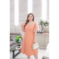 ราคา เดรสสาวอวบอ้วนตกแต่งแขนมุ้ง (23429781854)
