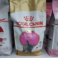 ราคา KITTEN British Shorthair Royal Canin (23105992755)
