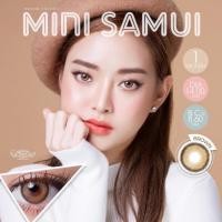 ราคา คอนแทคเลนส์ Dream Color1 Mini Samui(Gray,Brown) ค่าสายตา 0.00 ถึง -5.00 (4936716102)