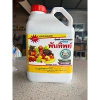 ราคา ปุ๋ยเคมีตราหวีทอง พันทิพย์ 5 ลิตร (18384877994)
