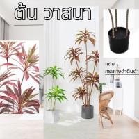 ราคา ต้นวาสนา ต้นไม้มงคล ต้นไม้ประดับบ้าน ต้นวาสนาปลอม พร้อมส่งในไทย Plant-L(VAS) (21484933476)