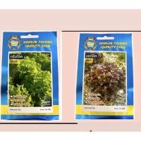 ราคา สลัด กรีนโอ๊ค 550 ,สลัด เรดโอ๊ค 710 (18356717094)