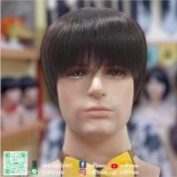 ราคา วิกผมผู้ชาย วิกผมแท้100% งานทอมือ งานทอSILK กว้าง (หนังศรีษะเหมือนจริง) สามารถปัดเปลี่ยนแสกได้ครับ ทรงผมซอยสั้น (18932137405)