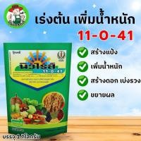 ราคา ปุ๋ยเกล็ด 11-0-41 นิวไรส์ พร้อมธาตุอาหารรอง-เสริม ปุ๋ยเกล็ด ชาลีเฟรท ขยายผล เพิ่มน้ำหนัก สูตรระเบิดหัว ขนาด 1 กิโลก (56201015370)