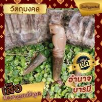 ราคา เสือนั่งเขี้ยว#เขาควายเผือก (12108859714)