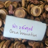 ราคา ฝักราชพฤกษ์ ฝักคูณ ฝักคูน สมุนไพรตากแห้ง แบบชิ้น 65 กรัม (51802687431)