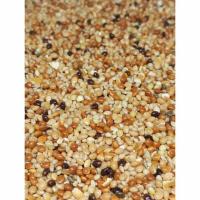 ราคา อาหารนกหงส์หยก นกหงส์หยก มิลเล็ทรวม มิลเล็ท 3 สี น.น. 1 ก.ก. เพียง 47 บาท อาหารนก นก นกหงส์หยก (25819377858)