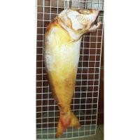 ราคา หมอนข้างปลาทูทอด กอดนิ่ม กอดอุ่น (9012839979)