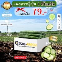 ราคา Oishi-Freshแตงกวาญี่ปุ่น ปลอดสารพิษ 1 กก. รสชาติกรอบ สด ใหม่ ใยอาหารสูง หวานออร์แกนิค เคลมได้ 1-2 วัน (29019025731)