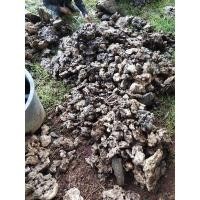 ราคา หิน หินรู stone หินตู้ปลา หินจัดตู้ปลา หินประดับ หินธรรมชาติ หินตกแต่ง จัดสวน หินภูเขา หินถ้ำ หินประดับ หินโรยกระถาง (11138370103)