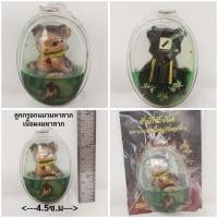 ราคา ลูกกรอกแมวมหาลาภ อาจารย์หนานคง สำนักสักยันต์ปู่ใหญ่ จ.เชียงใหม่ (43914825317)