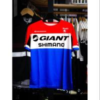 ราคา เสื้อจักรยาน ชุดจักรยาน Proteam Giant (7344617214)