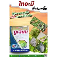 ราคา กำจัดเพลี้ย 1 กิโลกรัม สารป้องกัน เพลี้ยอ่อน เพลี้ยไฟ บั่ว แมลงปากดูดทุกขนิด เพลี้ยไก่แจ้ คูลเกษตร Kl21 (14547888978)