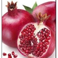 ราคา #ต้นทับทิมแดงอินเดีย #ทับทิมแดง เนื้อฉ่ำ หวานอร่อย (5737367901)