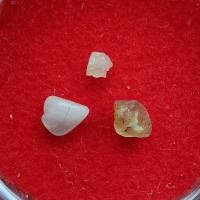 ราคา พระธาตุ หลวงปู่ผาง ปริปุณฺโณ วัดประสิทธิธรรม (รหัส D7/3) (23121211155)