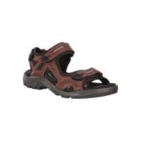 ราคา ECCO OFFROADOutdoorOffroad Brandy Pull Up (5415723653)