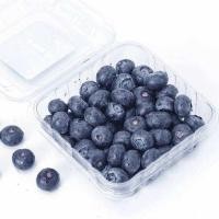 ราคา พร้อมส่ง‼️125g บลูเบอร์รี่สด นำเข้า Blueberry (เน้นส่งล็อตใหม่) (51154395631)