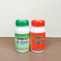ราคา แค็ดตาส ทีเร็กซ์ (CACTUS T-REX) และ แค็ดตาส ทีเร็กซ์ พลัส (CACTUS T-REX PLUS) (24230159538)