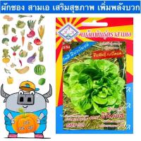 ราคา อินทรีย์็ด อินทรีย์็ด AAA ผักซอง สามเอ A3/34 เบบี้คอส มินิคอส ผัก ผักซอง ผักผัก อินทรีย์็ดผัก ผักอินทรีย์ ตราAAA (23629473067)