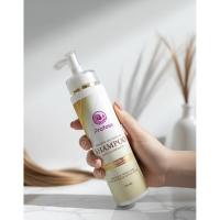 ราคา แชมพูเคราติน ล้างสารเคมี ลดผมร่วง ลดงรังแคProfess(250มล) (41423419518)