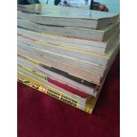 ราคา ครูสาวยากูซ่า 1-10 แยกเล่มทักแชท (14150083352)