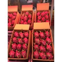 ราคา แก้วมังกร(เวียดนาม)เนื้อสีขาว (9551718808)