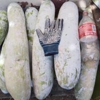 ราคา เมล็ดแฟงแก่ ลูกใหญ่ยาว ขึ้นง่าย แฟงงาช้าง แฟงเกษตร แฟงไร่ (27280492301)