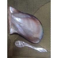 ราคา ชุดช้อนจานคาเวียร์ ช้อนมุก จานเปลือกหอย ขนาดเล็ก (43525936053)