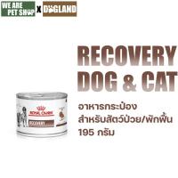 ราคา Royal Canin Vet Dog and Cat Recovery อาหารสัตว์ป่วย พักฟื้น สุนัข/แมว ขนาด 195 กรัม/กระป๋อง (28906182123)