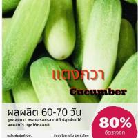 ราคา เมล็ดพันธุ์ แตงกวา 150 เมล็ด cucumber (ซื้อ 10 แถม 1 คละอย่างได้) (5741865087)