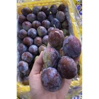 ราคา ลูกพรุนทรงรีเกรดพรีเมี่ยมนำเข้า.ขนาด500กรัมราคา99บาท (23050532109)