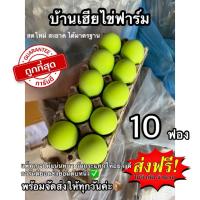 ราคา ไข่เยี่ยวม้า(สีชาเขียว) เบอร์0 ปลอดสารพิษเนื้อเป็นวุ้นไม่เป็นน้ำ 10ฟอง (41461634108)