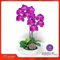 ราคา Handitop แจกันดอกไม้ประดิษฐ์กล้วยไม้ฟาแลนนอปซิส Phalaenopsis4 จำนวน 2 ช่อในภาชนะเซรามิคสีขาว (1385040449)