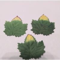 ราคา ใบไม้กระดาษสา ดอกกระดาษสา งานฝีมือ งาน DIY งาน handmade ประดิษฐ์ดอกไม้ ประดับบอร์ด (100ชิ้น/แพ็ค) (3397220279)