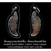 ราคา เขี้ยวพญานาค หลวงปู่จันทร์วัดซับน้อย (28958240084)