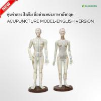 ราคา หุ่นจำลองจุดฝังเข็ม หุ่นแสดงตำแหน่งภาษาอังกฤษ ใช้เพื่อการศึกษา Acupuncture Model By Fangkhem (25563235542)