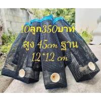 ราคา ตุ้มดักปลาไหล/ที่ดักปลาไหล (23456400041)