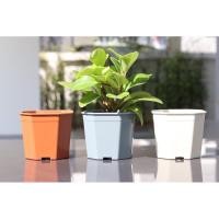 ราคา กระถาง 4 นิ้ว ทรงแปดเหลี่ยม กระถางต้นไม้ (8813663124)