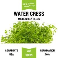 ราคา เมล็ดพันธุ์ ต้นอ่อน วอเตอร์เครส (Water cress) ไมโครกรีน Microgreens (41656541712)