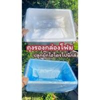 ราคา ถุงรองผักไฮโดร ถุงปลูกผัก ถุงใส่ผักเเพ็คเเพ็คใส่กล่องโฟม รุ่นเน้นจำนวนใบ ส่งจากโรงงานผลิตเอง พร้อมส่ง (26015624085)