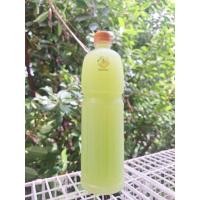 ราคา 1 Litre น้ำฝรั่งสดสกัดเย็น กิมจู Guava Juice(cold-pressed) (42250902774)