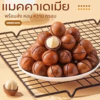 ราคา เเมคคาเดเมีย ถั่ว อบเนยพร้อมทาน หอม หวาน เนื้อเยอะ ขนาดใหญ่ 500 กรัม ฟรีที่แกะ (24976539645)