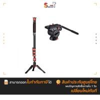 ราคา IFOOTAGE - Cobra 3 C180F-P monopod & Komodo K5S Fluid Head Bundle ประกันศูนย์ไทย (29713355123)