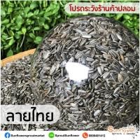 ราคา เมล็ดต้นอ่อนทานตะวัน ลายไทย บรรจุถุงละ 1 กิโลกรัม (10427248915)