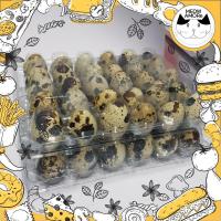 ราคา ไข่ 1 ฟอง ไข่นกกระทาสด ห้อกันกระแทก(บับเบิ้ล/ถาดกันกระแทก)อย่างดี คุณภาพดี ไข่นกกระทาสดแท้ 100% (แบ่งขายเป็นฟอง) (5637896569)