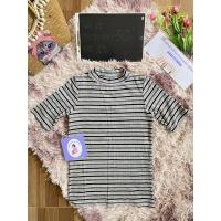 ราคา เสื้อยืดผ้าร่อง คอปีน (17660088397)